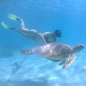 Meet your Posher, Jane